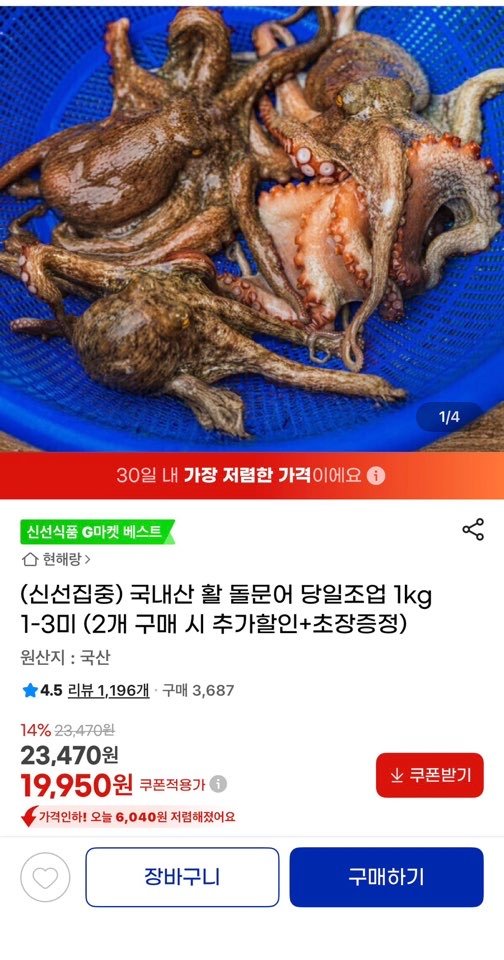 [G마켓] 국내산 활 돌문어 당일조업 1kg 1-3미 (2개 구매 시 추가할인+초장증정)